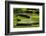 Rice Terraces of Banaue, Northern Luzon, Philippines-Michael Runkel-Framed Photographic Print