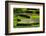 Rice Terraces of Banaue, Northern Luzon, Philippines-Michael Runkel-Framed Photographic Print