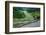 Rice Terraces of Banaue, Northern Luzon, Philippines-Michael Runkel-Framed Photographic Print