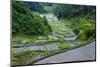 Rice Terraces of Banaue, Northern Luzon, Philippines-Michael Runkel-Mounted Photographic Print