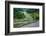 Rice Terraces of Banaue, Northern Luzon, Philippines-Michael Runkel-Framed Photographic Print