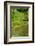 Rice Terraces of Banaue, Northern Luzon, Philippines-Michael Runkel-Framed Photographic Print