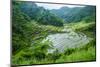 Rice Terraces of Banaue, Northern Luzon, Philippines-Michael Runkel-Mounted Photographic Print