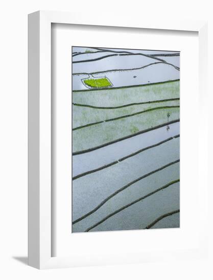 Rice Terraces of Banaue, Northern Luzon, Philippines-Michael Runkel-Framed Photographic Print