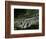 Rice Terraces of the Ailao Mountains, Honghe Prefecture, Yuanyang, Yunnan Province, China-Pete Oxford-Framed Photographic Print