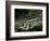 Rice Terraces of the Ailao Mountains, Honghe Prefecture, Yuanyang, Yunnan Province, China-Pete Oxford-Framed Photographic Print