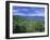 Rice Terraces on Eastern Shore of Crater Lake, Lake Maninjau, West Sumatra, Sumatra, Indonesia-Robert Francis-Framed Photographic Print