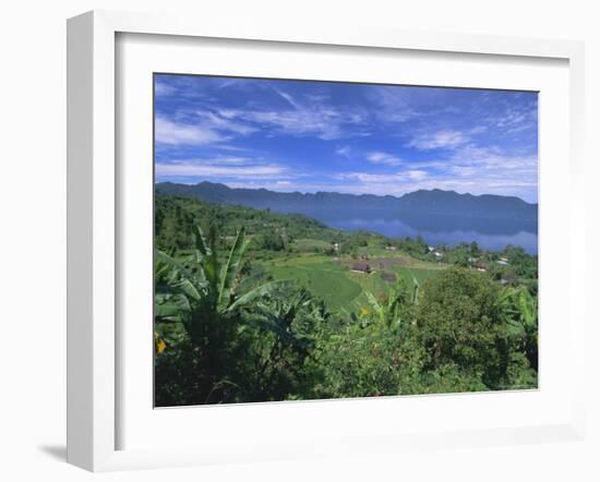 Rice Terraces on Eastern Shore of Crater Lake, Lake Maninjau, West Sumatra, Sumatra, Indonesia-Robert Francis-Framed Photographic Print