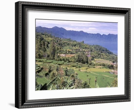 Rice Terraces on the Eastern Shore of Maninjau, Sumatra, Indonesia-Robert Francis-Framed Photographic Print