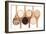 Rice Varieties In Olive Wood Spoons Over White Background-marilyna-Framed Art Print