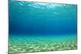 Premium Photographic Print