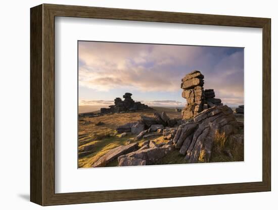 Rich Evening Sunlight at Great Staple Tor, Dartmoor National Park, Devon, England. Winter (January)-Adam Burton-Framed Photographic Print