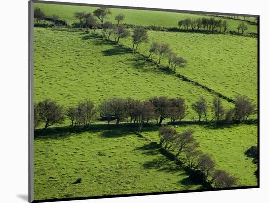 Rich green pastureland in countryside of Northern Ireland-Layne Kennedy-Mounted Photographic Print