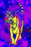 Tiger Endangered Species-Rich LaPenna-Photographic Print
