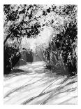 Trees and Shadows on Sand-Rich LaPenna-Giclee Print