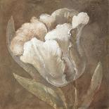Tulip-Rich Wilder-Mounted Art Print