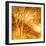 Rich Woodland I-Malcolm Sanders-Framed Giclee Print