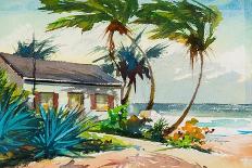 Blue Palms-Richard A. Rodgers-Framed Art Print