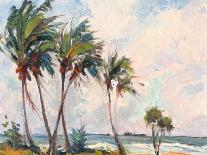 Fishing under Palms-Richard A^ Rodgers-Art Print