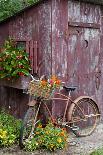 Old Bicycle with Flower Basket Next to Old Outhouse Garden Shed. Marion County, Illinois-Richard and Susan Day-Photographic Print