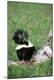 Premium Photographic Print