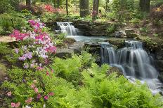 Waterfall with Ferns and Azaleas at Azalea Path Arboretum and Botanical Gardens, Hazleton, Indiana-Richard and Susan Day-Photographic Print