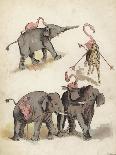 Elephants and Flamingoes-Richard Andre-Giclee Print