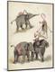 Giclee Print