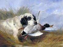 Dog with Wild Duck, 19th Century-Richard Ansdell-Giclee Print