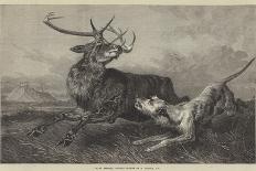 Dog with Wild Duck, 19th Century-Richard Ansdell-Giclee Print