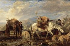 Collie, Ewe and Lambs-Richard Ansdell-Giclee Print
