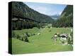 Stretched Canvas Print