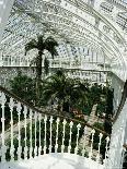 Interior of the Temperate House, Restored in 1982, Kew Gardens, Greater London-Richard Ashworth-Photographic Print