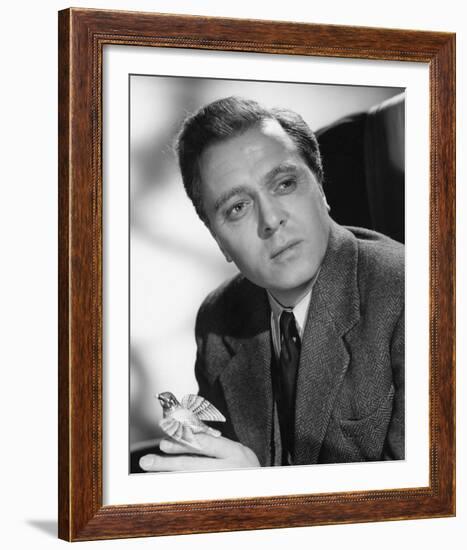 Richard Attenborough-null-Framed Photo