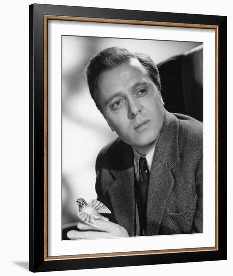 Richard Attenborough-null-Framed Photo