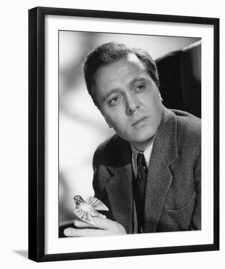 Richard Attenborough-null-Framed Photo