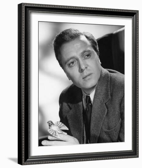 Richard Attenborough-null-Framed Photo