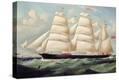 Stretched Canvas Print