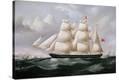 Stretched Canvas Print