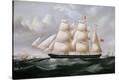 Stretched Canvas Print
