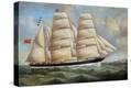 Stretched Canvas Print