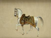A Horse in Ceremonial Saddlecloth - the Mount of the Marquess Clanricade-Richard Barrett Davis-Giclee Print
