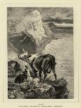 Ploughing in Lower Egypt-Richard Beavis-Giclee Print