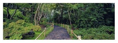 Tea Garden Walkway, San Francisco Botanical Gardens-Richard Berenholtz-Art Print