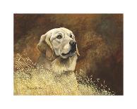 Black Labrador-Richard Britton-Premium Giclee Print