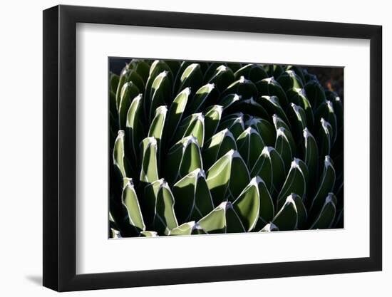Photo, , large