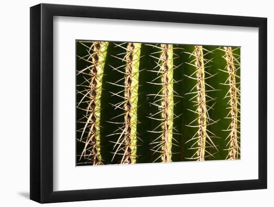 Photo, , large