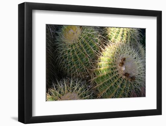 Photo, , large