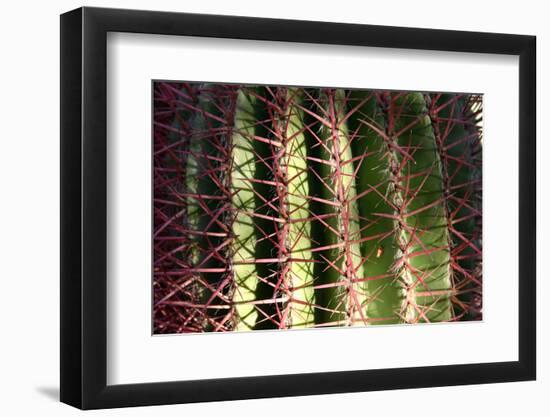 Photo, , large