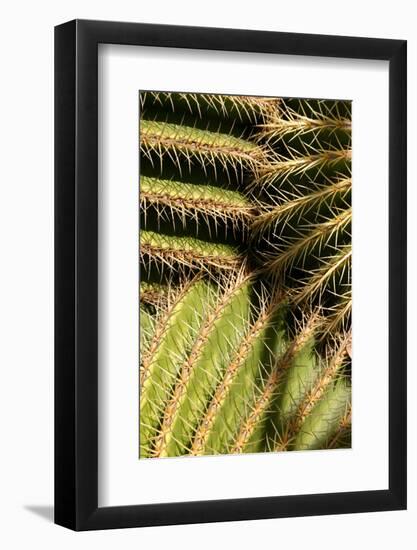Photo, , large